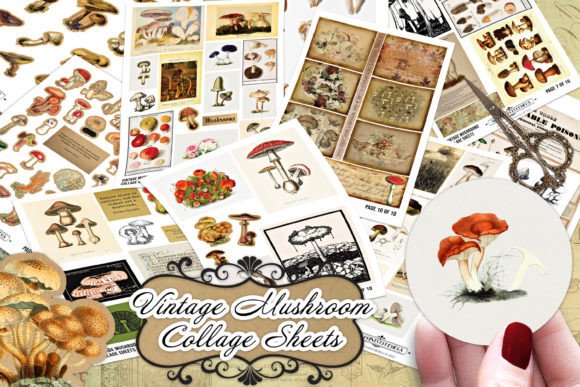 Download Vintage Mushroom Mycology Collage Sheets - Collage sheets Collection